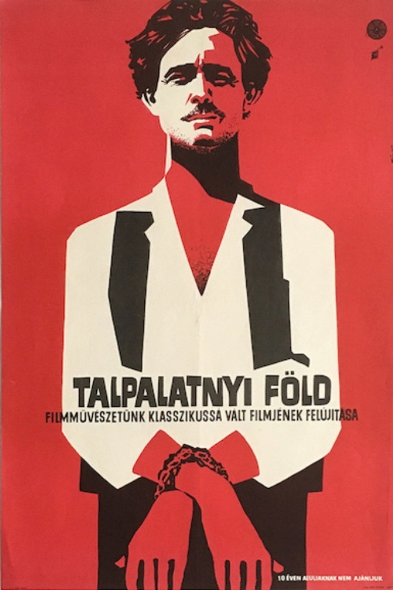 The Soil Under Your Feet