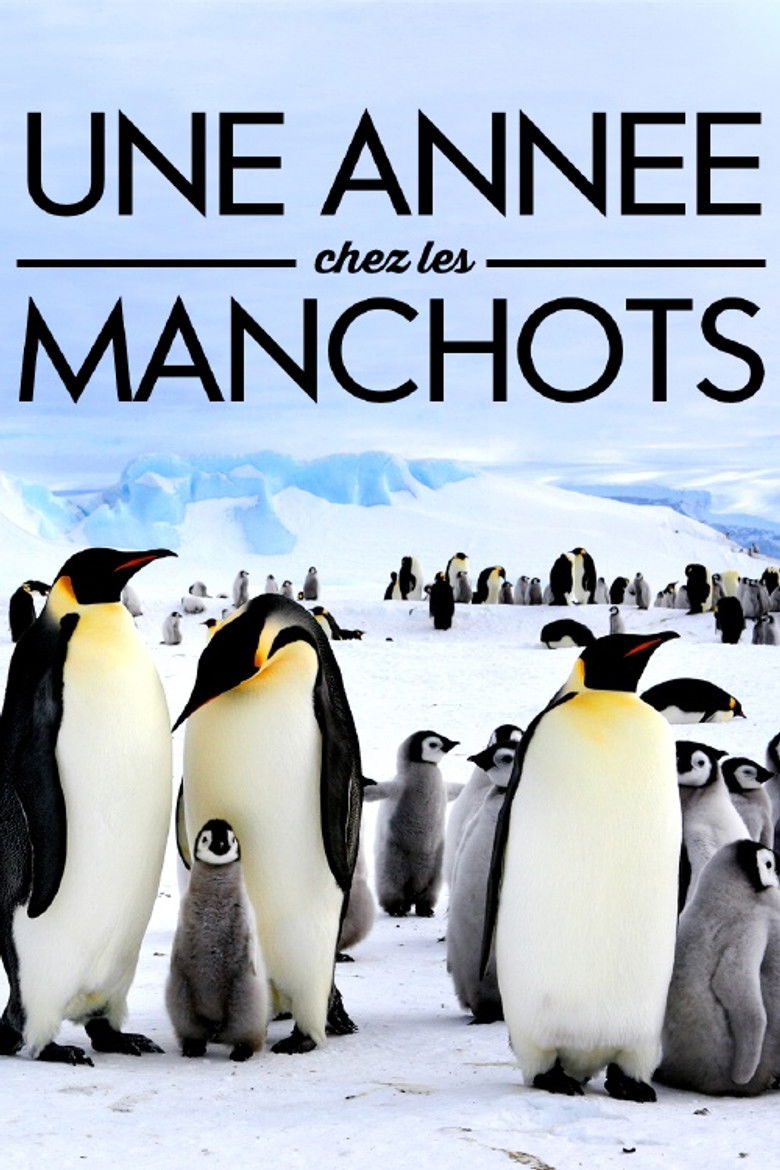 A Year With the Penguins