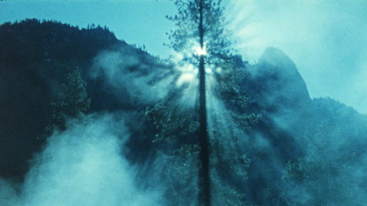 Wilderness: A Country in the Mind