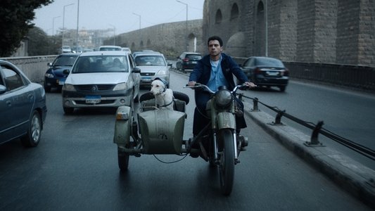 البحث عن منفذ لخروج السيد رامبو