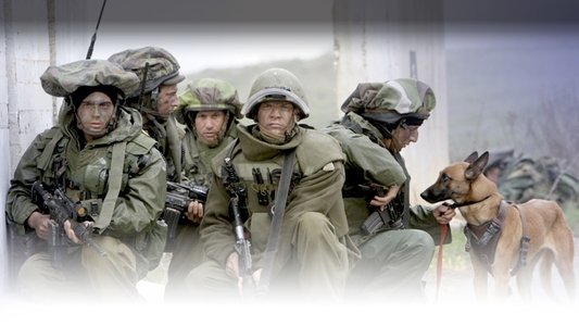 בופור