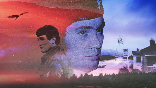 The Disappearance of Captain Nairac