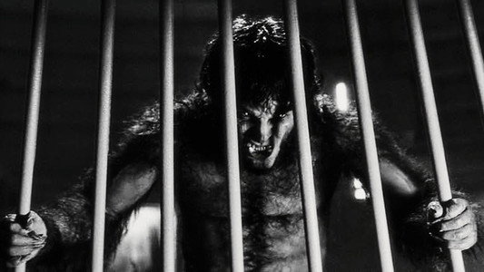Werewolf by Night