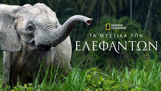 Secrets of the Elephants