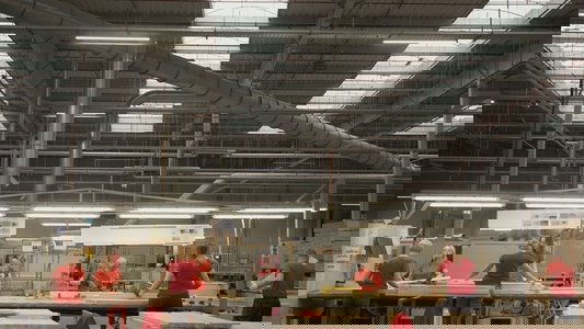 Ikea, le seigneur des forêts