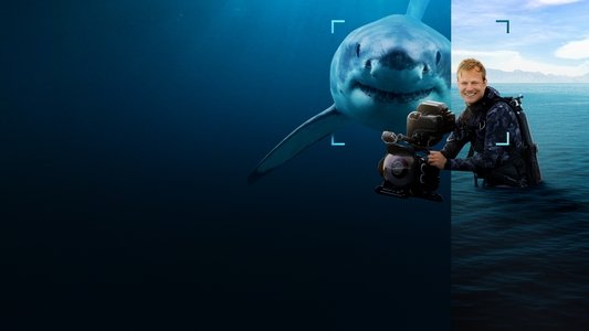 Sharks Up Close with Bertie Gregory