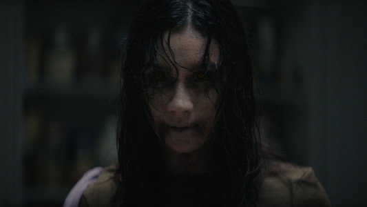 Evil Dead Burn