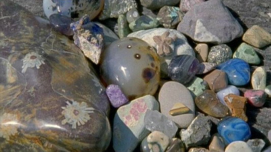 たまたま