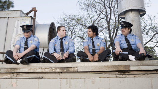 Observe and Report