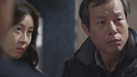 쇠파리