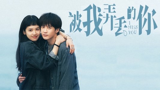 被我弄丢的你