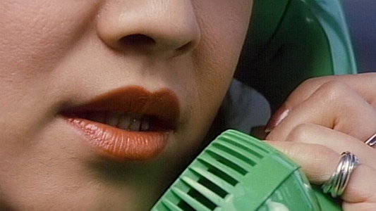 スチュワーデス・スキャンダル　獣のように抱きしめて