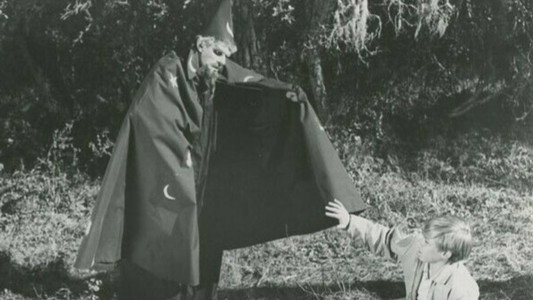 The Princess and the Magic Frog