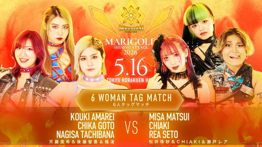 Marigold Shining Attack 2026 ~ Day 7
