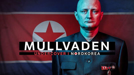 The Mole: Undercover in North Korea