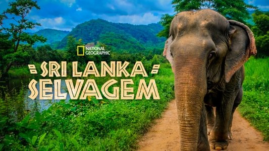 Wild Sri Lanka
