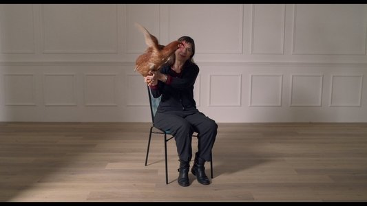 L’occhio della Gallina