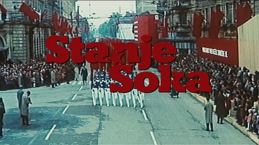 Stanje šoka