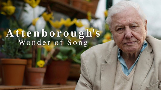 Attenborough's Wonder of Song