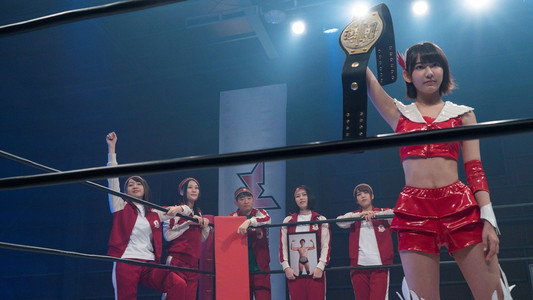 豆腐プロレス