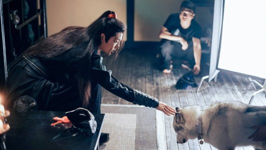 陈情令
