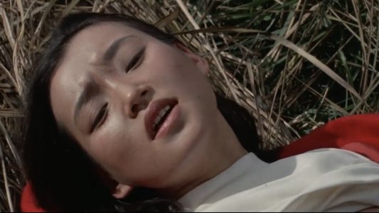 セミドキュメント　観光バス・濡れ濡れジャック