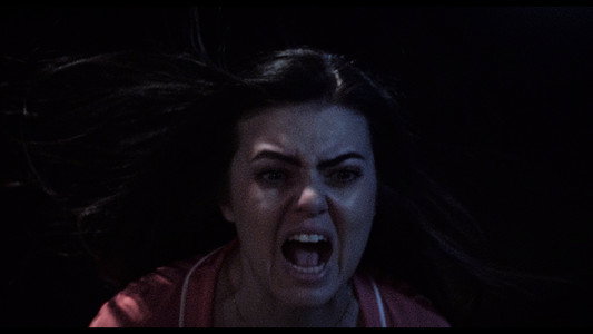 Dracula: The Night Around Us