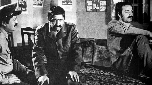 صادق کرده