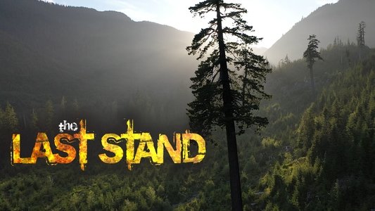The Last Stand
