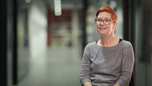 Schnidi, le fantôme du néolithique