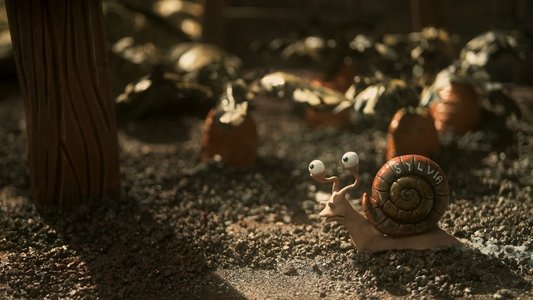 Memoir of a Snail