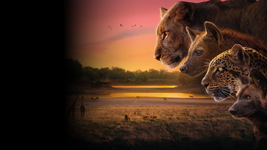 Kingdom