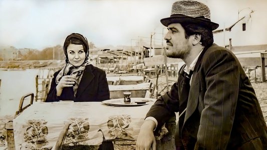 Dolmuş Şoförü