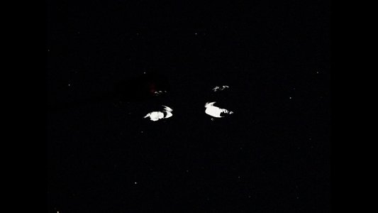 AA-PROXIMA-SUN