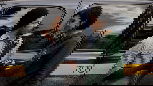 Haywire