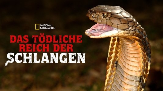 World's Deadliest Snakes