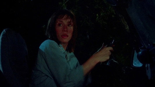 The Texas Chainsaw Massacre Part 2