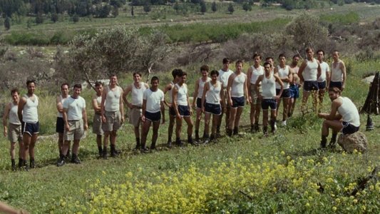 התגנבות יחידים