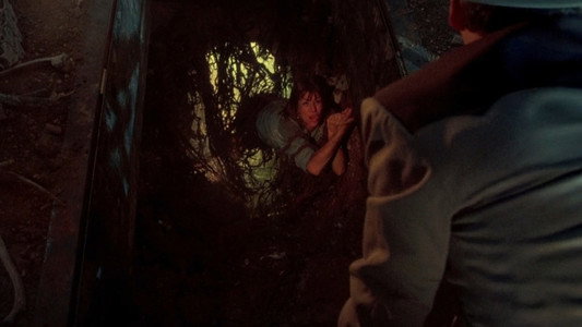 The Texas Chainsaw Massacre Part 2