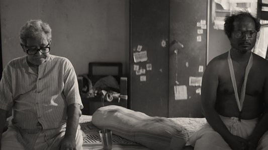মানিকবাবুর মেঘ