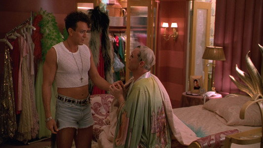 The Birdcage