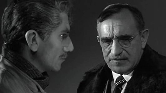 L'Affaire Maurizius