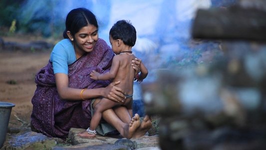 மேற்குத்தொடர்ச்சி மலை
