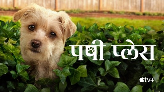 Puppy Place
