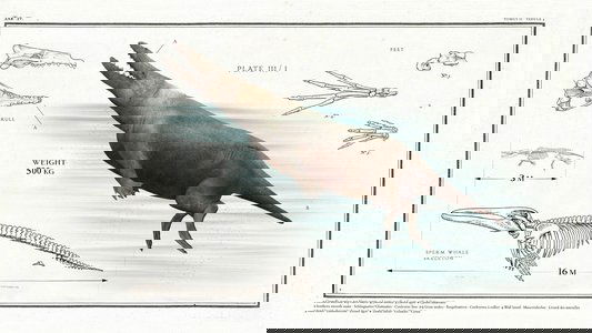 Big Beasts: Last of the Giants