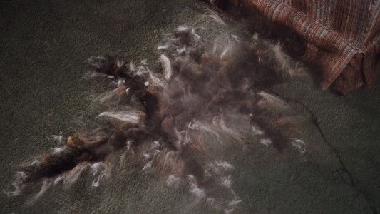 National Lampoon's Christmas Vacation