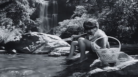 ಟ್ಟದ ಹೂವು