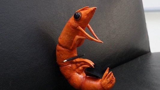 Terapia Com O Camarão