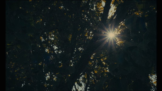 Echoes