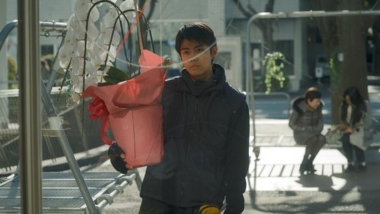 見はらし世代